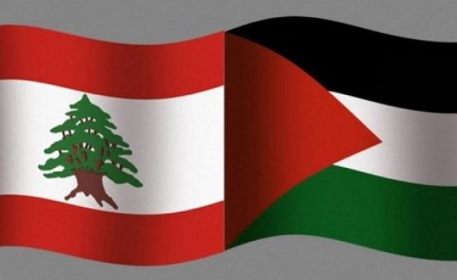 فلسطين + لبنان