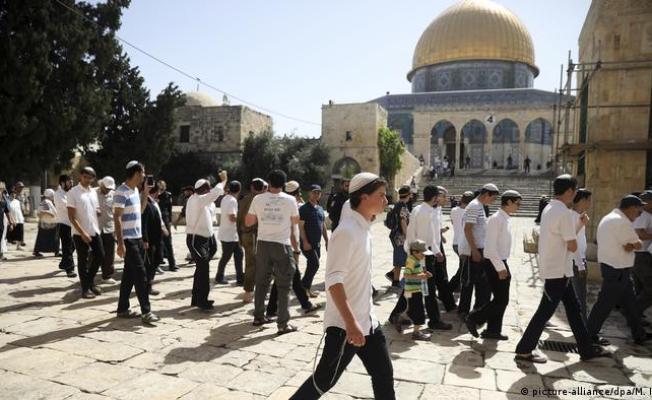 قطعان المستوطنين يقتحمون الأقصى.. إفتحوا عيونكم جيدا
