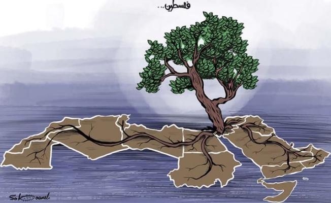 هذه فلسطين