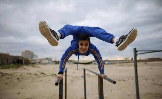 العنكبوت الفلسطيني محمد الشيخ 