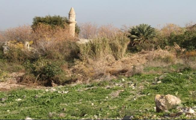 قرية نمرين