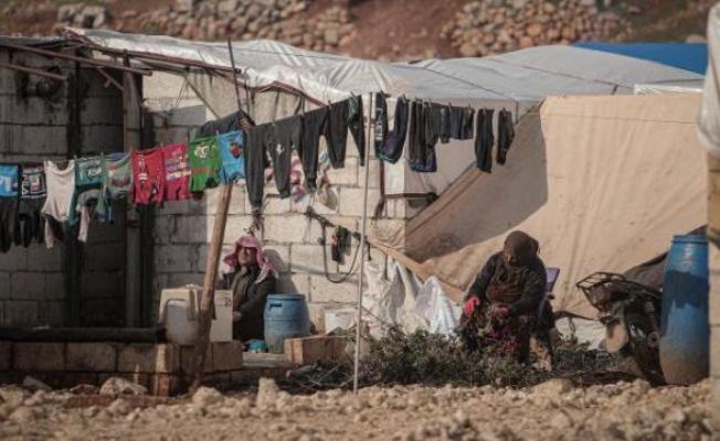 من فلسطين المحتلة