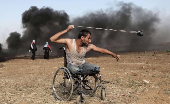 صورة الجائزة