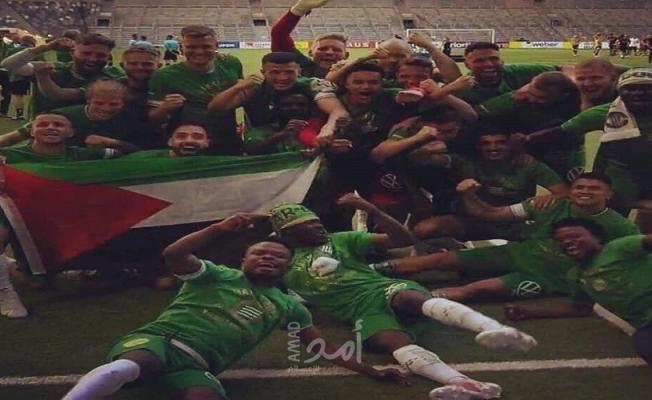 فريق هامربي