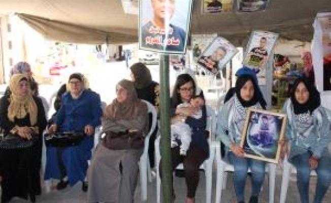 ابنتا الأسير نضال نغنغية وأهالي عدد من الأسرى داخل خيمة الاعتصام في جنين