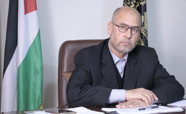 د القططي