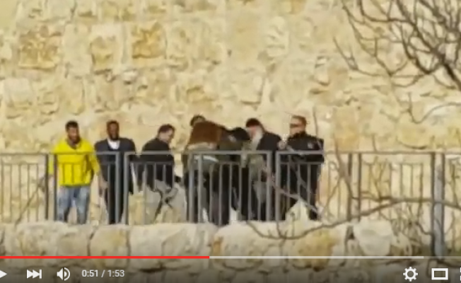 من الفيديو
