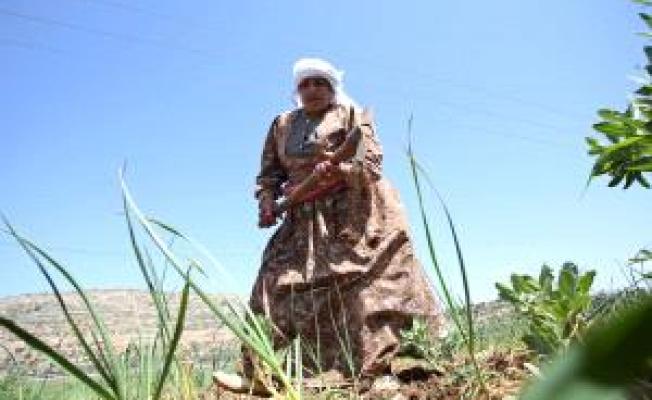 المرأة الفلسطينية في يوم الأرض