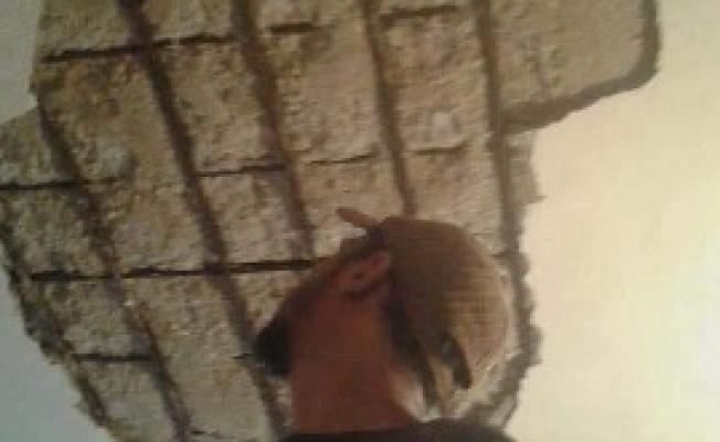منزل عائلة قبلاوي