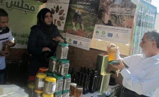 من فعاليات مهرجان قطف الزيتون في بيت لحم