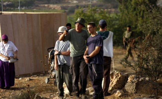 مستوطنون يعتدون على قاطفي زيتون