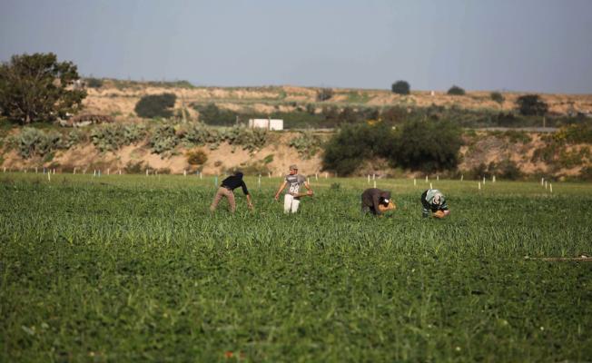 استهداف المزارعين