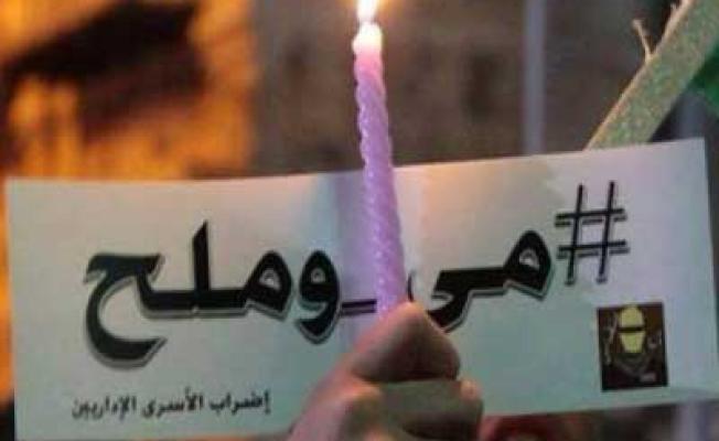 معركة الكرامة والحرية