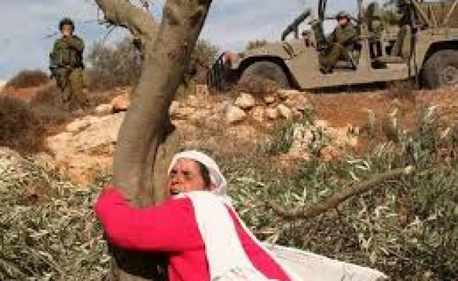 نضال المرأة الفلسطينية