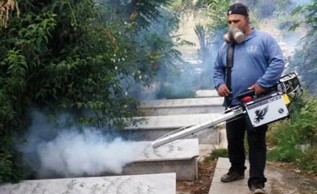 عملية رش المبيدات في عين الحلوة