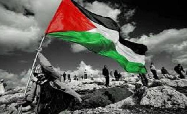 فلسطين 