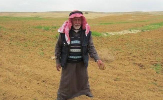انطلاق موسم حراثة الأرض في النقب المحتل