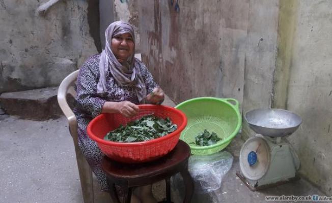 فاطمة الصغير