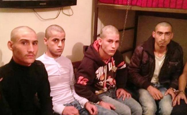 افراد العصابة