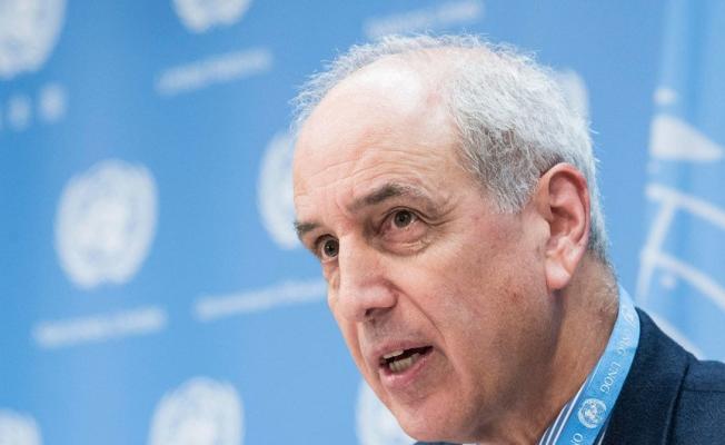 مايكل لينك، المقرر الخاص للأمم المتحدة المعني بحالة حقوق الإنسان في الأرض الفلسطينية المحتلة عام 67