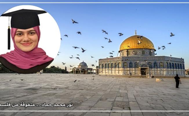 نور حماد