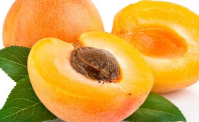 المشمش