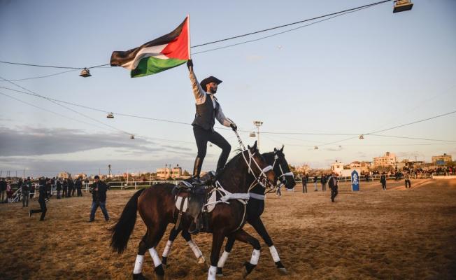 خيل عربي أصيل