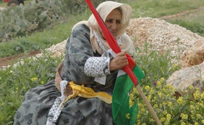 باقون هنا