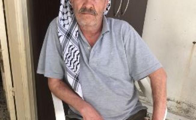 محمود مهنا