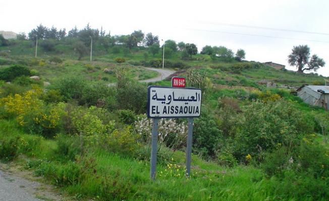 العيساوية