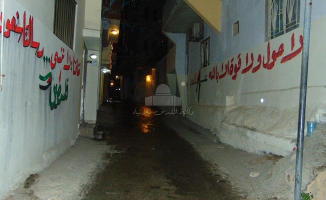 من احياء مخيم برج الشمالي 
