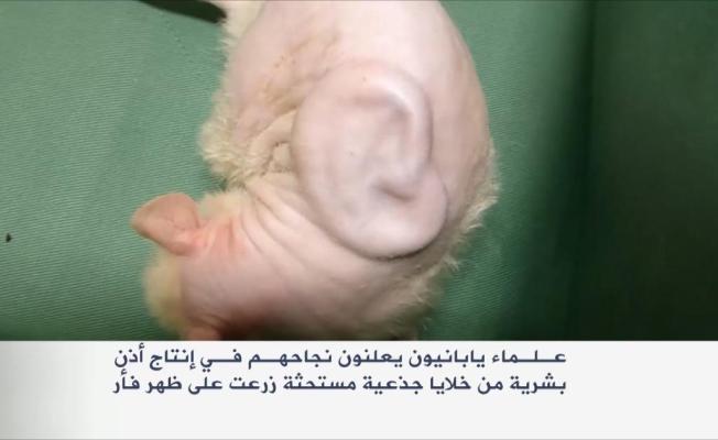 صورة تعبيرية