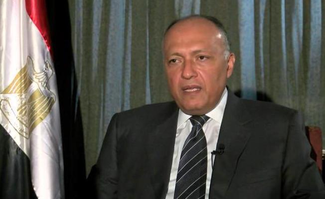 وزير الخارجية المصري سامح شكري