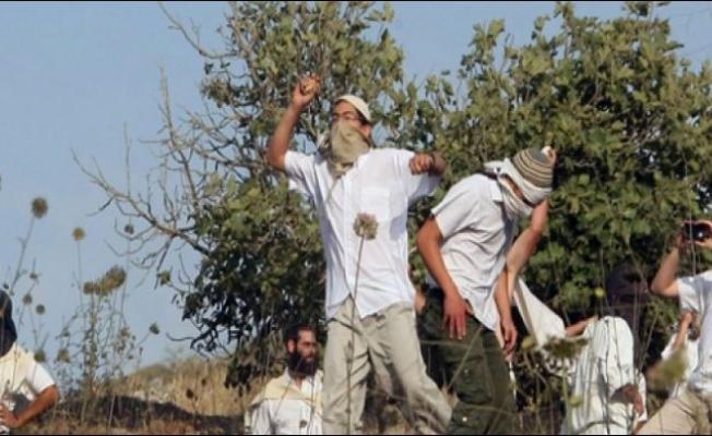 مستوطنون يرشقون المزارعين بالحجارة