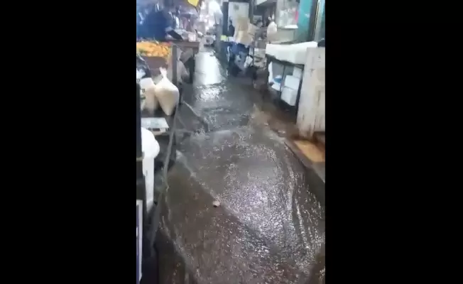 سوق الخضار في عين الحلوة