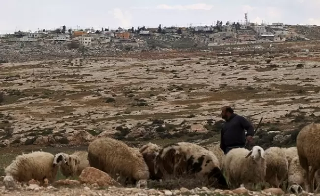أفيغيل .. بؤرة "إستيطانية" حديدة
