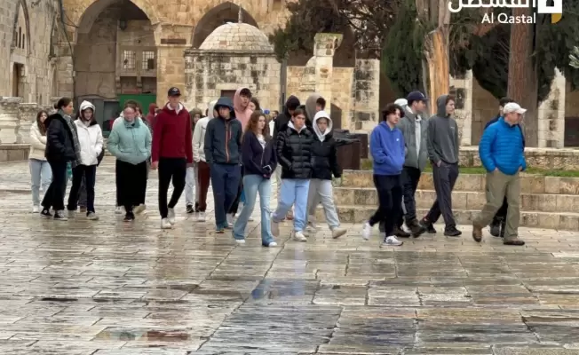 مستوطنون