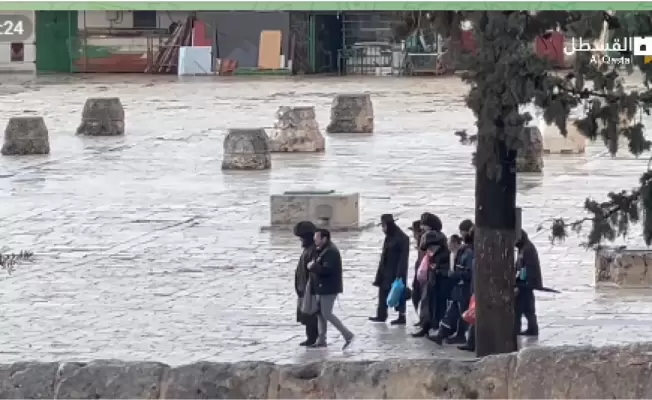 مستوطنون يقتحمون باحات المسجد الأقصى