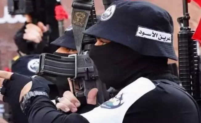 عرين الأسود