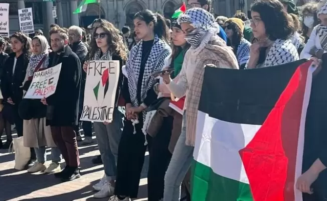 وقفات بالدنمارك وألمانيا