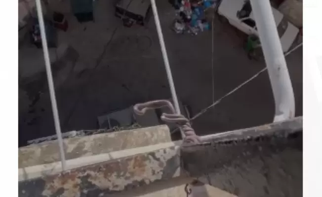 المنزل المحاصر