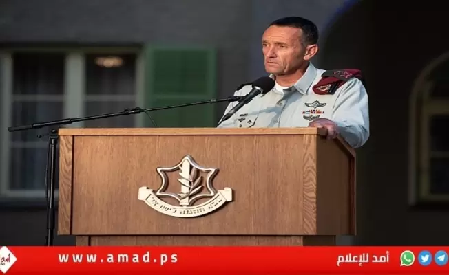 هاليفي