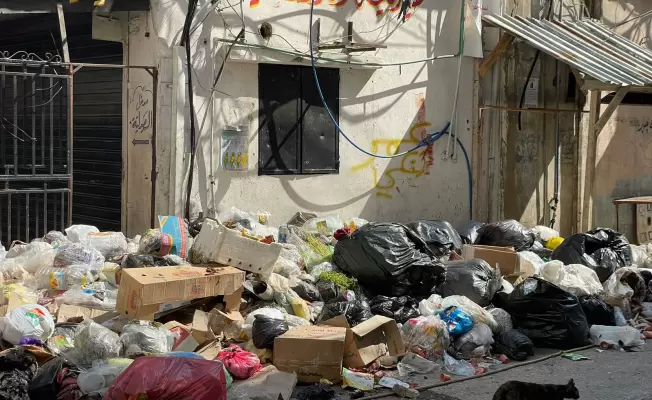 النفايات في عين الحلوة