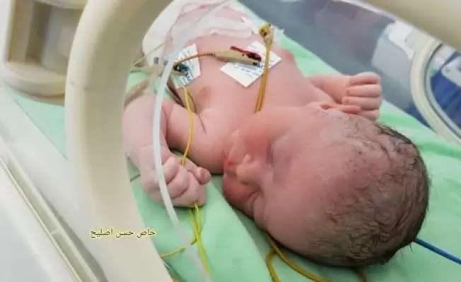 ارشيف