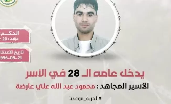 محمود عارضة