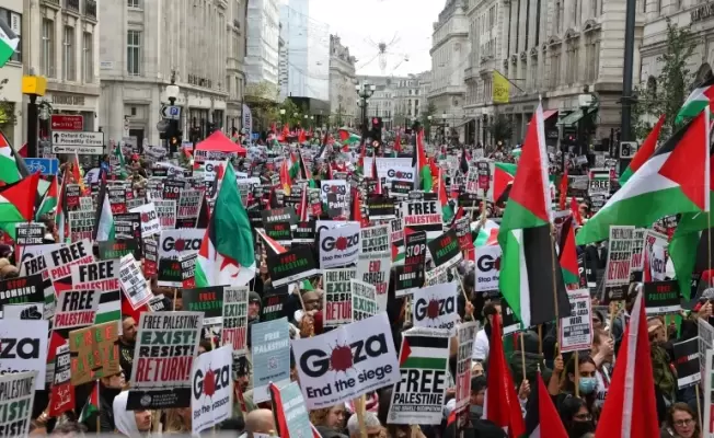 متضامنين مع فلسطين