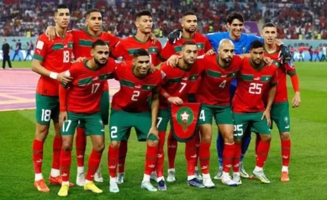 اسود  الاطلس