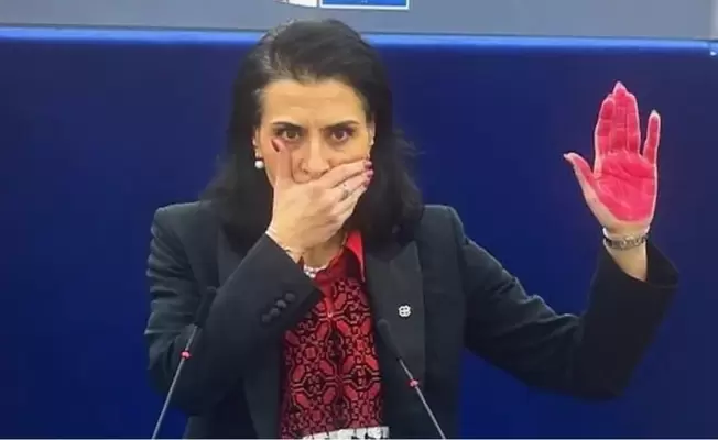برلمانية أوروبية