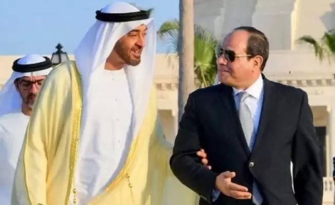 الدمى المتحركة في الملعب