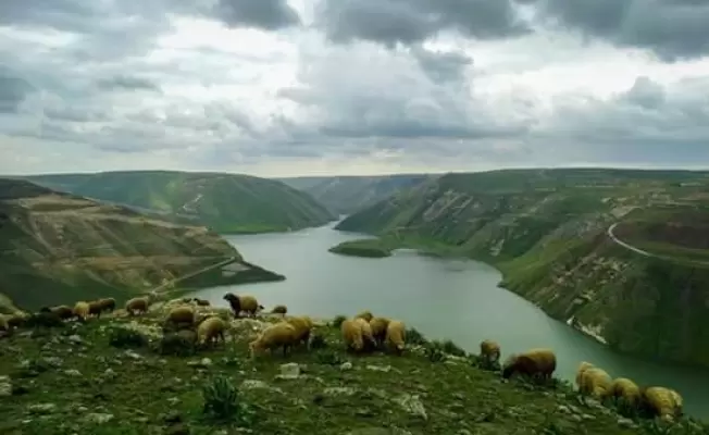 حوض اليرموك